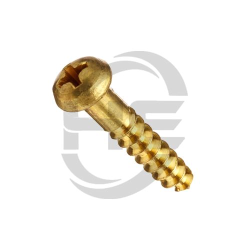 Brass Screw 2
